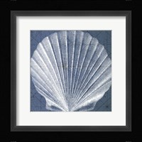 Coastal Menagerie V Fine Art Print