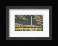 Washington Monument at Night Framed Print