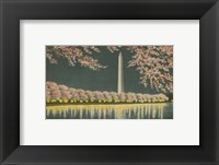 Washington Monument at Night Framed Print