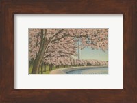 Wash. Monument & Cherry Blossoms Fine Art Print