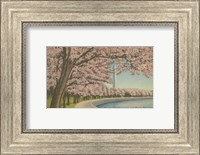 Wash. Monument & Cherry Blossoms Fine Art Print