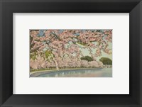 Cherry Blossom Time Fine Art Print