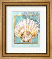Scallop Shell and Coral Fine Art Print