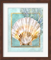 Scallop Shell and Coral Fine Art Print