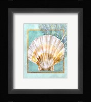 Scallop Shell and Coral Framed Print