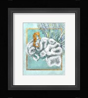 Coral and Seahorse Framed Print