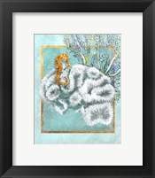 Coral and Seahorse Framed Print