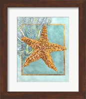 Starfish and Coral Fine Art Print