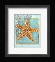 Starfish and Coral Framed Print