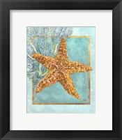 Starfish and Coral Framed Print