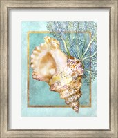 Conch Shell and Coral Fine Art Print