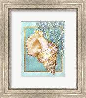 Conch Shell and Coral Fine Art Print