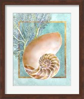 Nautilus Shell and Coral Fine Art Print
