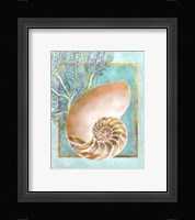 Nautilus Shell and Coral Framed Print