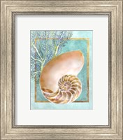 Nautilus Shell and Coral Fine Art Print