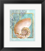 Nautilus Shell and Coral Framed Print