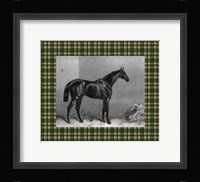 Equestrian Plaid I Fine Art Print