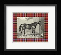 Equestrian Plaid III Fine Art Print