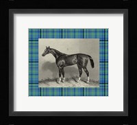 Equestrian Plaid IV Fine Art Print