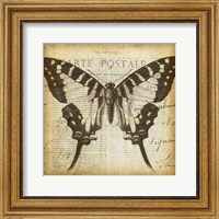 Carte Postale Butterfly I Fine Art Print