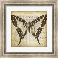 Carte Postale Butterfly I Fine Art Print
