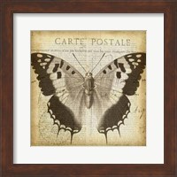 Carte Postale Butterfly II Fine Art Print