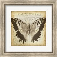 Carte Postale Butterfly II Fine Art Print