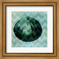 Chevron Shell IV Fine Art Print