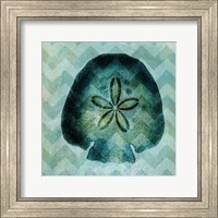 Chevron Shell VI Fine Art Print