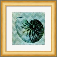 Chevron Shell IX Fine Art Print