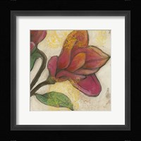 Tulip Poplar II Framed Print