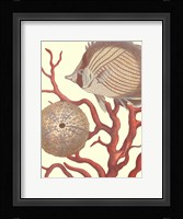 Coastal Collection II Fine Art Print