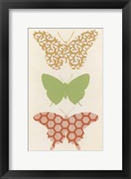 Butterfly Patterns III Framed Print