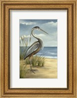 Shore Bird I Fine Art Print
