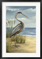 Shore Bird I Fine Art Print