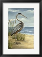 Shore Bird I Framed Print