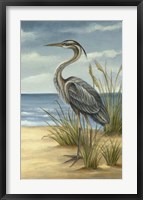 Shore Bird II Fine Art Print