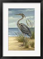 Shore Bird II Framed Print