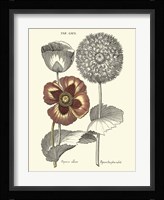 Tinted Floral II Fine Art Print