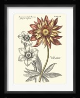 Tinted Floral III Fine Art Print