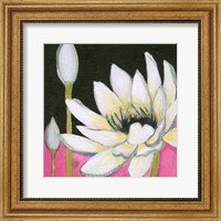 Bliss Lotus III Fine Art Print