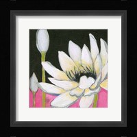 Bliss Lotus III Framed Print