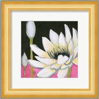 Bliss Lotus III Fine Art Print