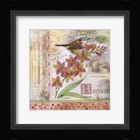 Spread Your Wings III Fine Art Print