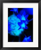 Moon Blue I Framed Print