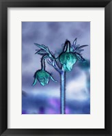 Love Flowers I Framed Print
