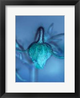 Love Flowers II Framed Print