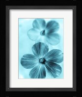 Forget Me Not Blue I Fine Art Print