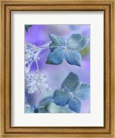 Dainty III Fine Art Print