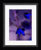 Morning Rain I Framed Print